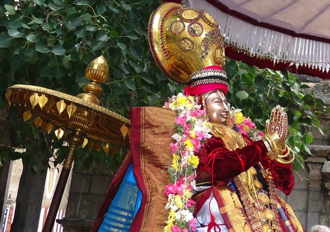 Swami Desikan  Thirunakshatra utsavam purappadu to kanchi 2014--0000