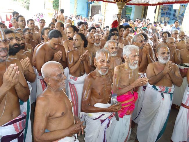 Swami Desikan Thirunakshatram Sri Peraralulan mangalasaasanam 2014--0020