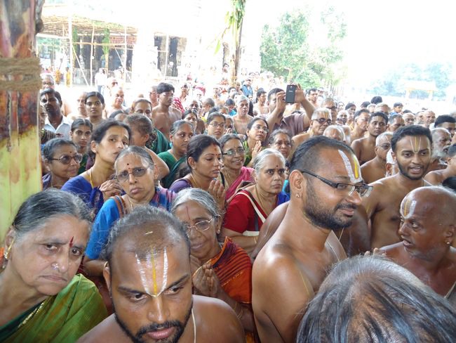 Swami Desikan Thirunakshatram Sri Peraralulan mangalasaasanam 2014--0021