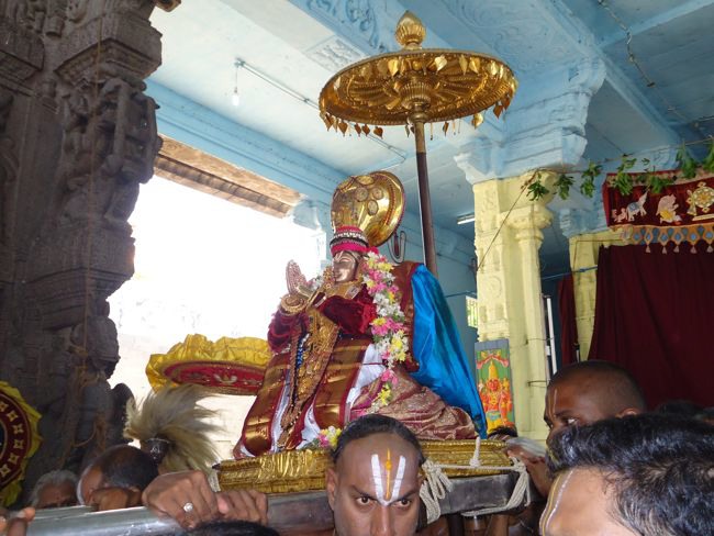 Swami Desikan Thirunakshatram Sri Peraralulan mangalasaasanam 2014--0024