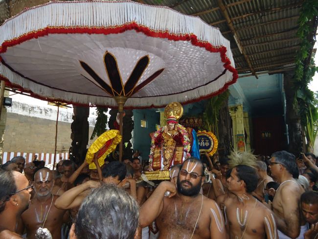 Swami Desikan Thirunakshatram Sri Peraralulan mangalasaasanam 2014--0025