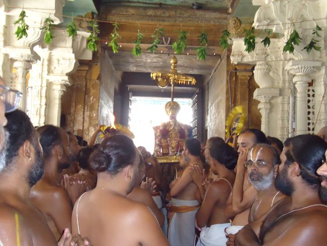 Swami Desikan Thirunakshatram Sri Peraralulan mangalasaasanam 2014--0030