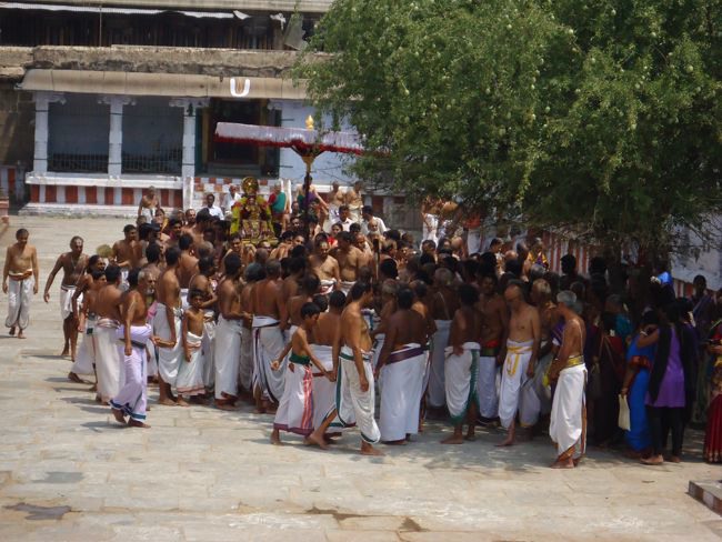 Swami Desikan Thirunakshatram Sri Peraralulan mangalasaasanam 2014--0047