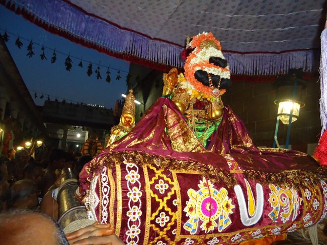 Swami Desikan Thirunakshatram Sri Peraralulan mangalasaasanam 2014--0068