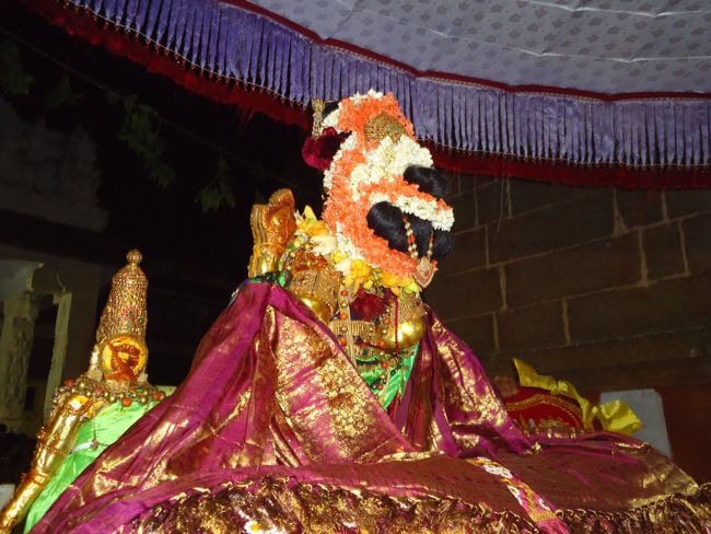 Swami Desikan Thirunakshatram Sri Peraralulan mangalasaasanam 2014--0084