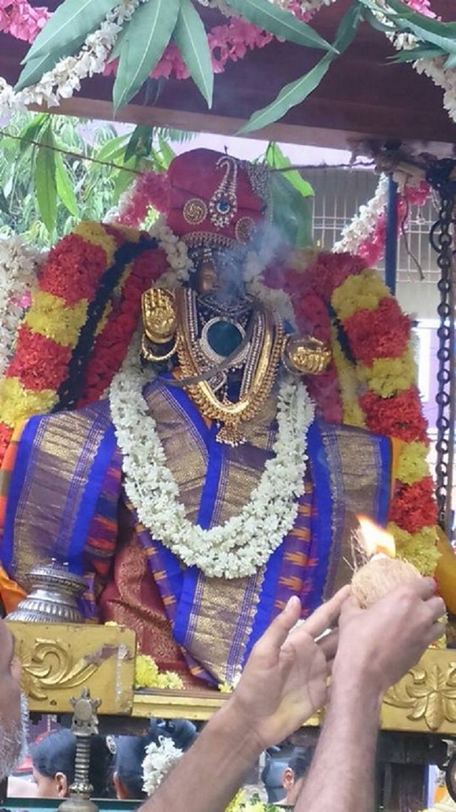Taramani Swami Desikan Sannidhi Thirunakshatra Utsavam Day-8&911