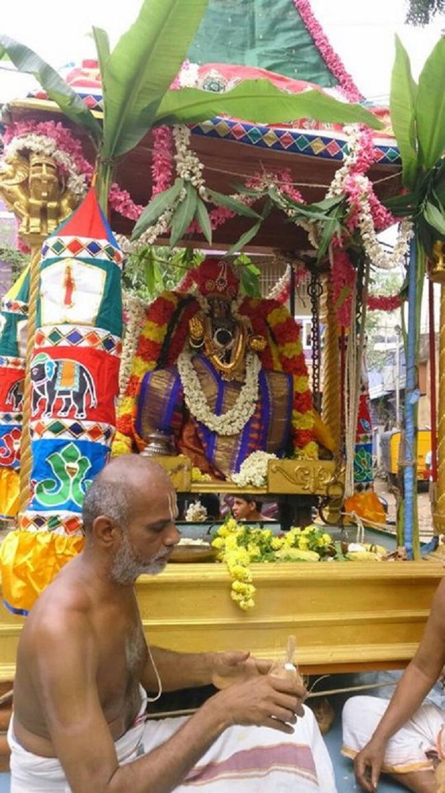 Taramani Swami Desikan Sannidhi Thirunakshatra Utsavam Day-8&923