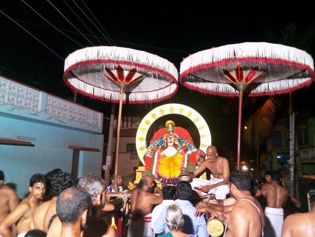 Taramani Swami Desikan Sannidhi Thirunakshatra Utsavam1