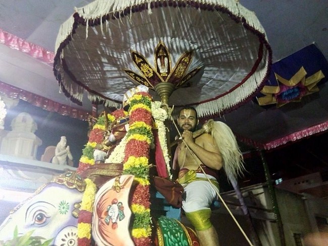 Taramani Swami Desikan Sannidhi Thirunakshatra Utsavam11