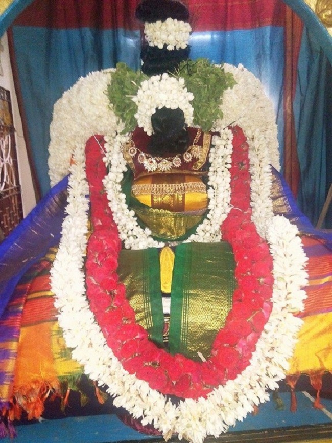 Taramani Swami Desikan Sannidhi Thirunakshatra Utsavam16