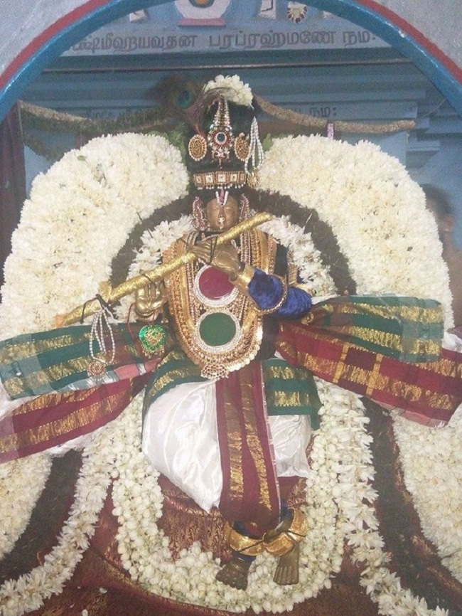 Taramani Swami Desikan Sannidhi Thirunakshatra Utsavam18