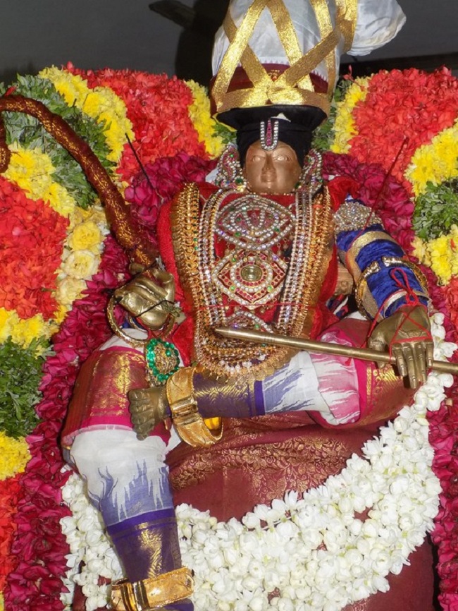 Taramani Swami Desikan Sannidhi Thirunakshatra Utsavam2