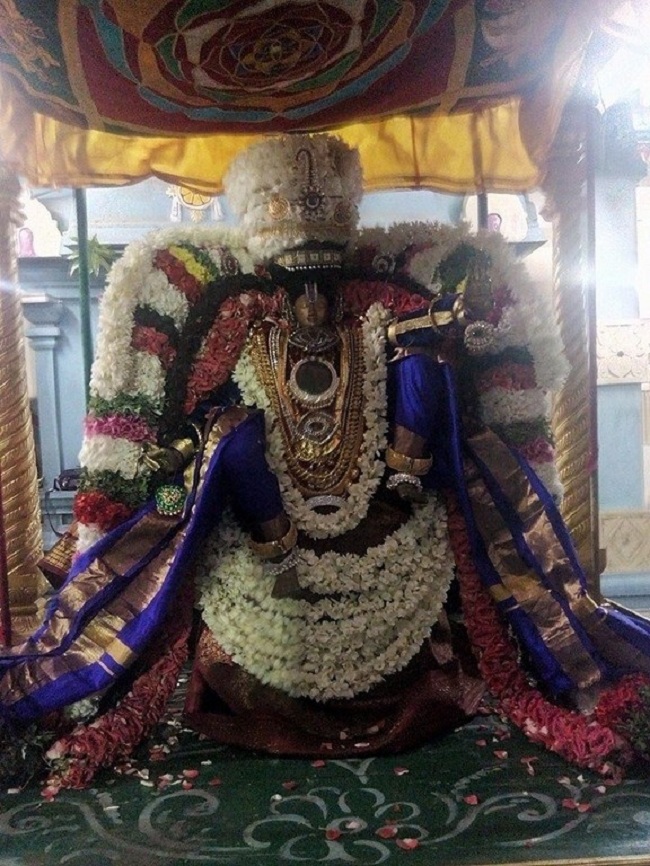 Taramani Swami Desikan Sannidhi Thirunakshatra Utsavam22