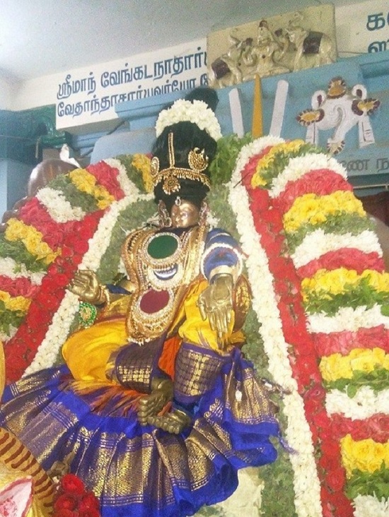 Taramani Swami Desikan Sannidhi Thirunakshatra Utsavam28