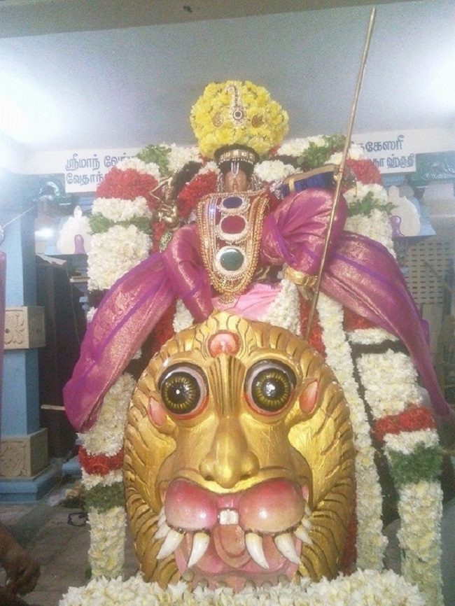 Taramani Swami Desikan Sannidhi Thirunakshatra Utsavam32
