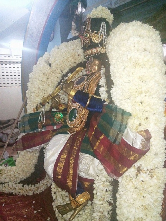 Taramani Swami Desikan Sannidhi Thirunakshatra Utsavam3