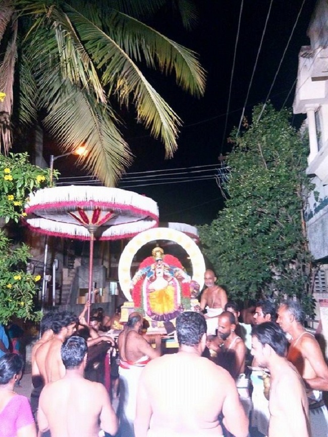 Taramani Swami Desikan Sannidhi Thirunakshatra Utsavam8