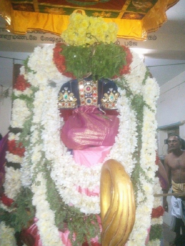 Taramani Swami Desikan Sannidhi Thirunakshatra Utsavam8