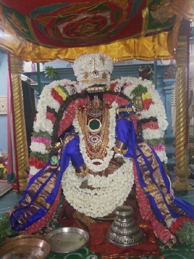 Taramani Swami Desikan Sannidhi Thirunakshatra Utsavam9