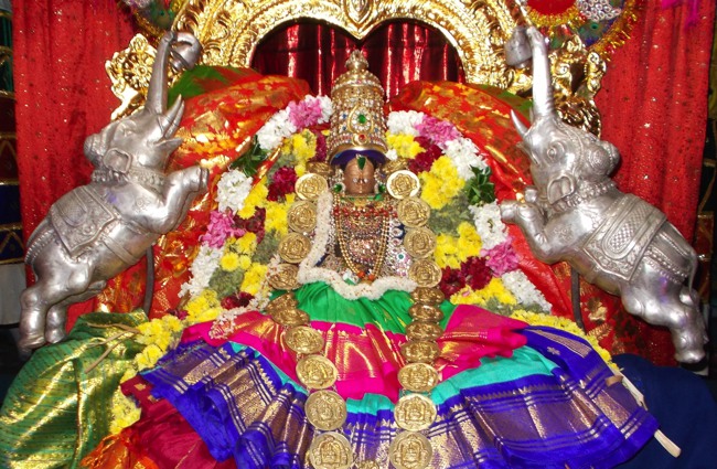 Therazhundur Senkamalavalli thayar Navarathri Utsavam day 8 2014--0001