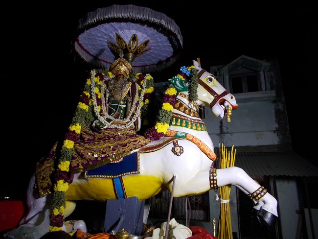 Therazhundur Sri Amaruviappan Vijayadasami Kudhirai Vahanam 2014 01