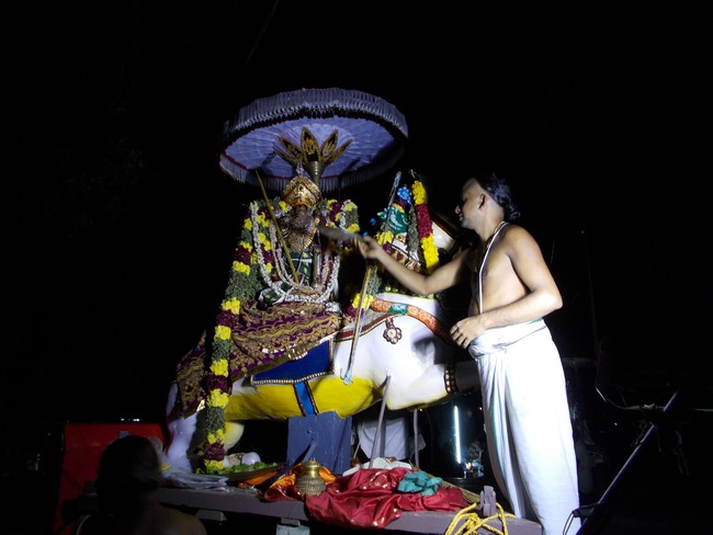 Therazhundur Sri Amaruviappan Vijayadasami Kudhirai Vahanam 2014 12