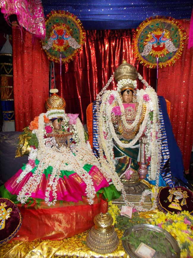 Therazhundur Sri Sengamlavalli thayar Navarathri Utsavam day 9  2014 4