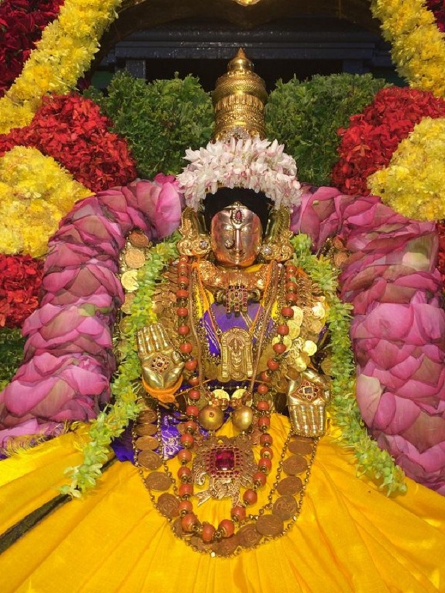 Thiruchanoor Sri Padmavathi Thayar temple Navarathiri Utsavam 10