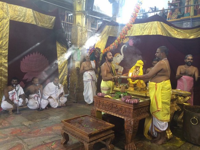 Thiruchanoor Sri Padmavathi Thayar temple Navarathiri Utsavam 3