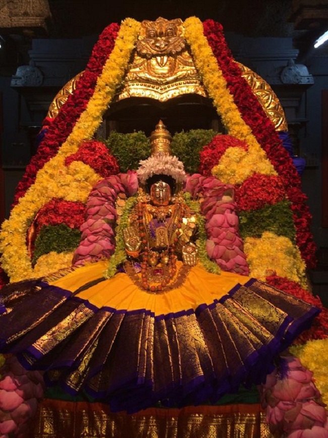 Thiruchanoor Sri Padmavathi Thayar temple Navarathiri Utsavam 6