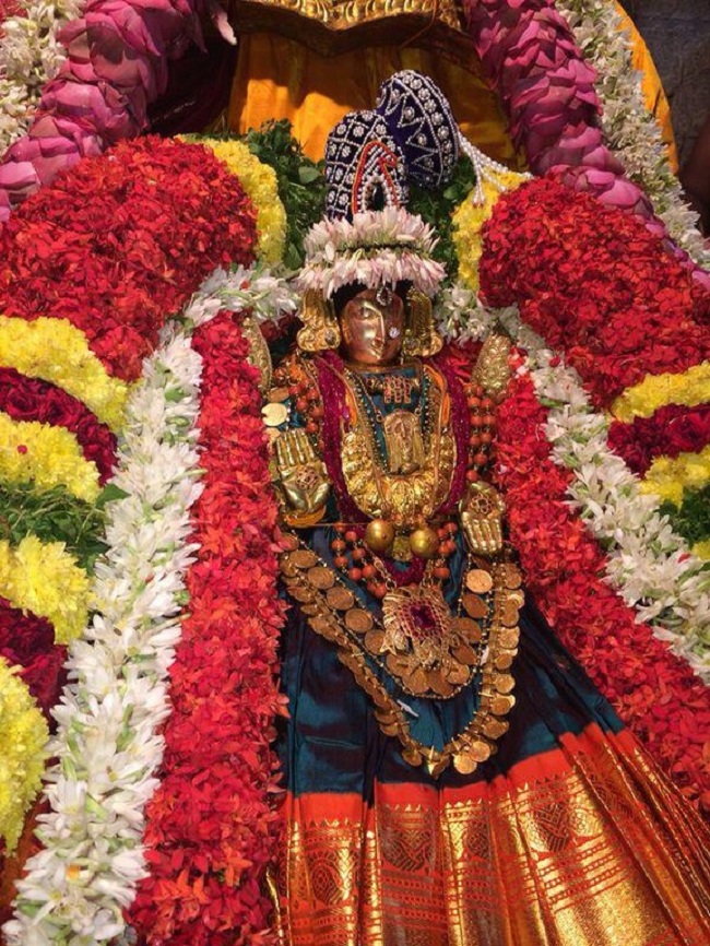 Thiruchanoor Sri Padmavathi Thayar temple Navarathiri Utsavam8