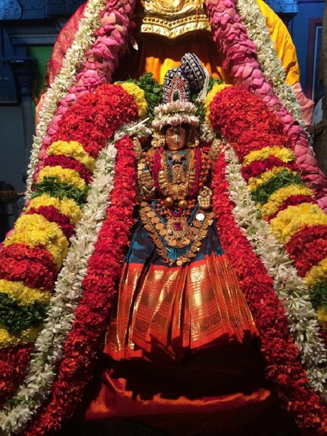 Thiruchanoor Sri Padmavathi Thayar temple Navarathiri Utsavam9