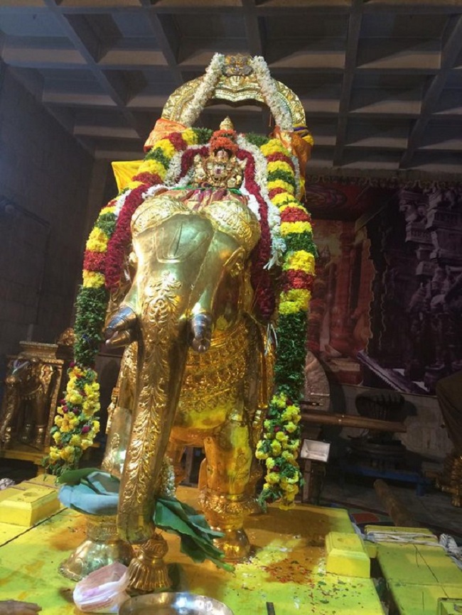 Thiruchanoor Sri Padmavathi Thayar temple Vijayadasami Parivettai Utsavam11