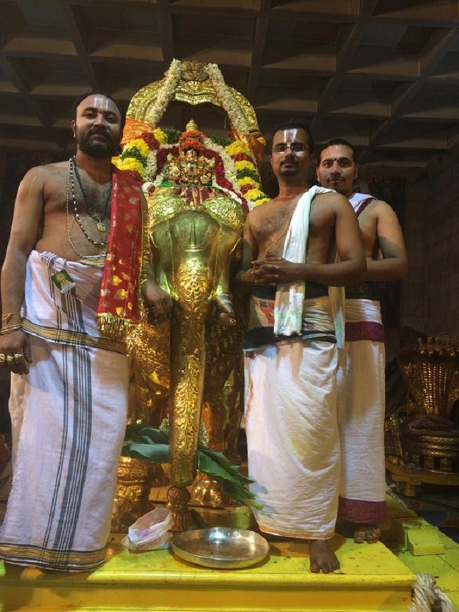 Thiruchanoor Sri Padmavathi Thayar temple Vijayadasami Parivettai Utsavam2