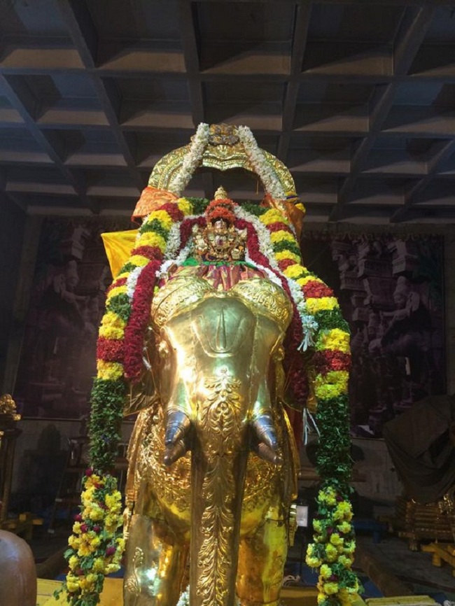 Thiruchanoor Sri Padmavathi Thayar temple Vijayadasami Parivettai Utsavam8