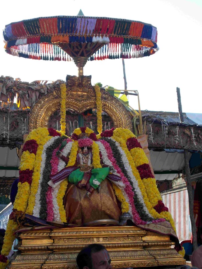 Thirukannamangai Swami Desikan THirunakshatra Utsavam CHoornotsavam  2014 09