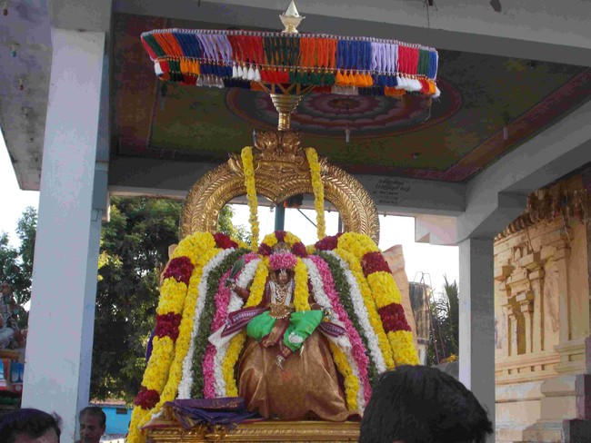 Thirukannamangai Swami Desikan THirunakshatra Utsavam CHoornotsavam  2014 11