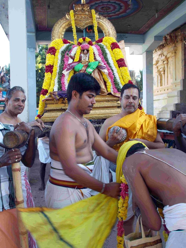 Thirukannamangai Swami Desikan THirunakshatra Utsavam CHoornotsavam  2014 14