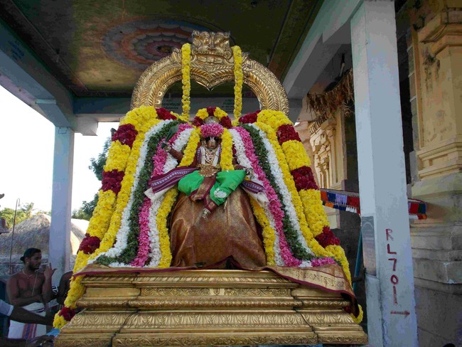 Thirukannamangai Swami Desikan THirunakshatra Utsavam CHoornotsavam  2014 18