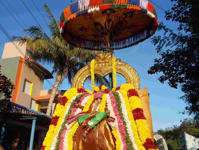 Thirukannamangai Swami Desikan THirunakshatra Utsavam CHoornotsavam  2014 27