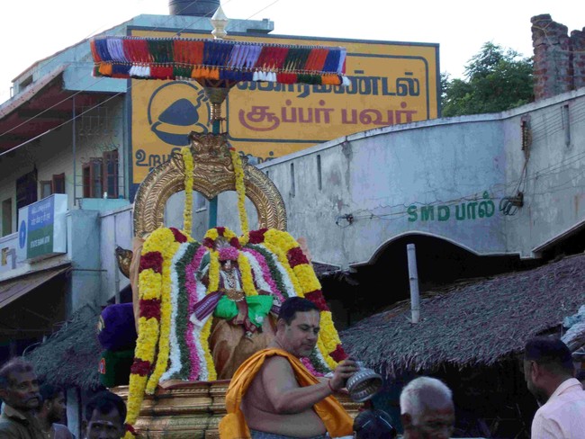 Thirukannamangai Swami Desikan THirunakshatra Utsavam CHoornotsavam  2014 36