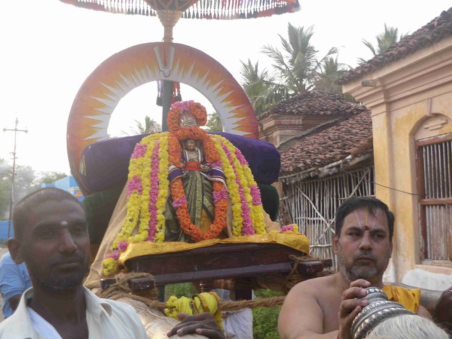 Thirukannamangai  Swami Desikan Thirunakshatra Utsavam Day 9 2014 02