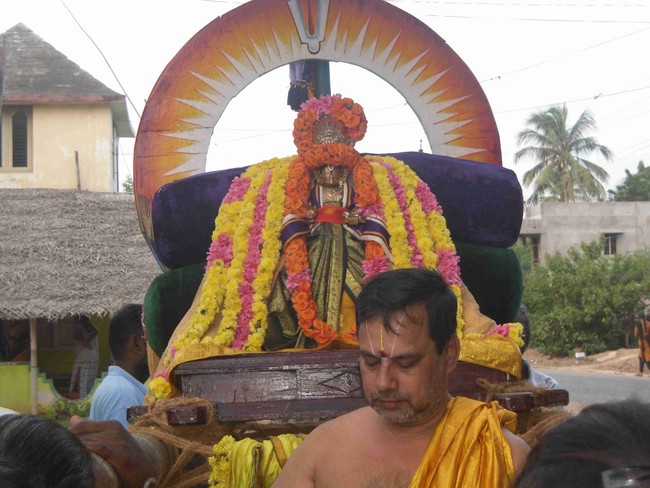 Thirukannamangai  Swami Desikan Thirunakshatra Utsavam Day 9 2014 09