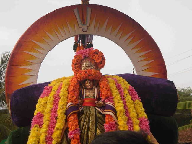 Thirukannamangai  Swami Desikan Thirunakshatra Utsavam Day 9 2014 12