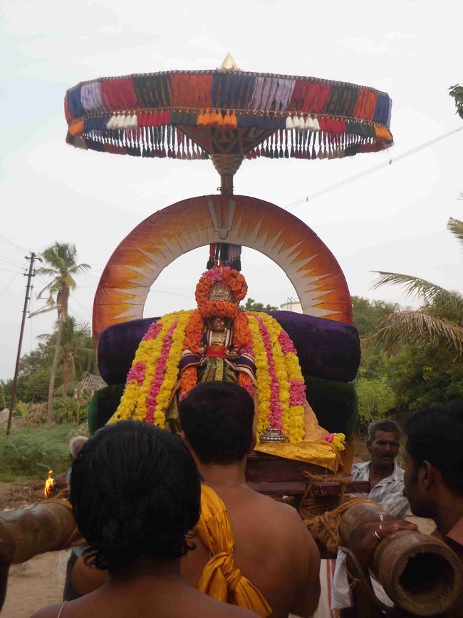 Thirukannamangai  Swami Desikan Thirunakshatra Utsavam Day 9 2014 15