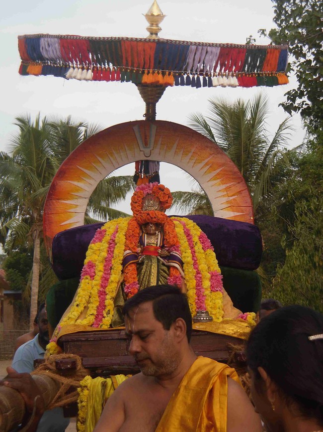 Thirukannamangai  Swami Desikan Thirunakshatra Utsavam Day 9 2014 18