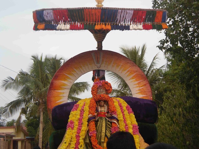 Thirukannamangai  Swami Desikan Thirunakshatra Utsavam Day 9 2014 19