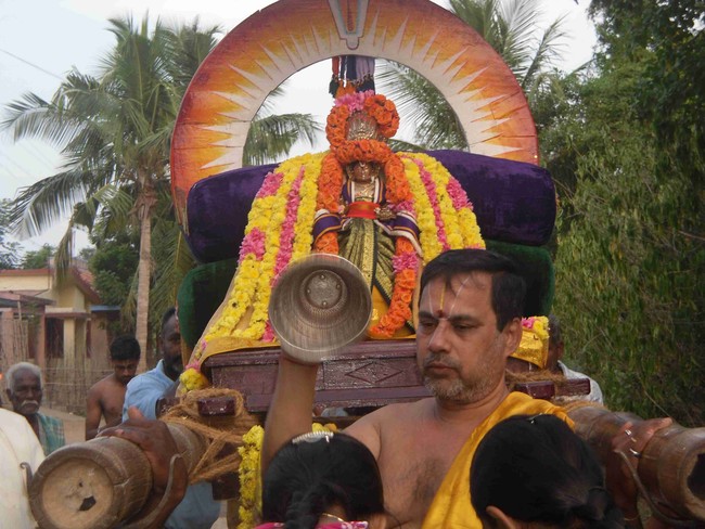 Thirukannamangai  Swami Desikan Thirunakshatra Utsavam Day 9 2014 20