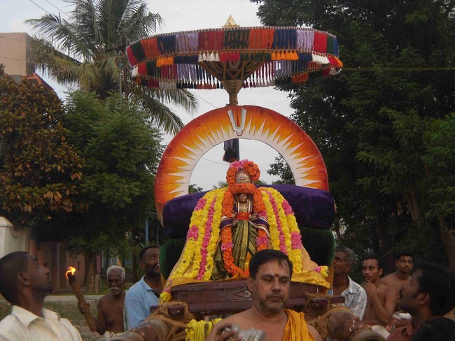 Thirukannamangai  Swami Desikan Thirunakshatra Utsavam Day 9 2014 26