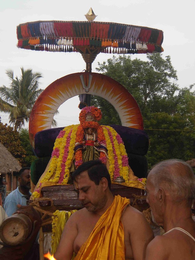 Thirukannamangai  Swami Desikan Thirunakshatra Utsavam Day 9 2014 27
